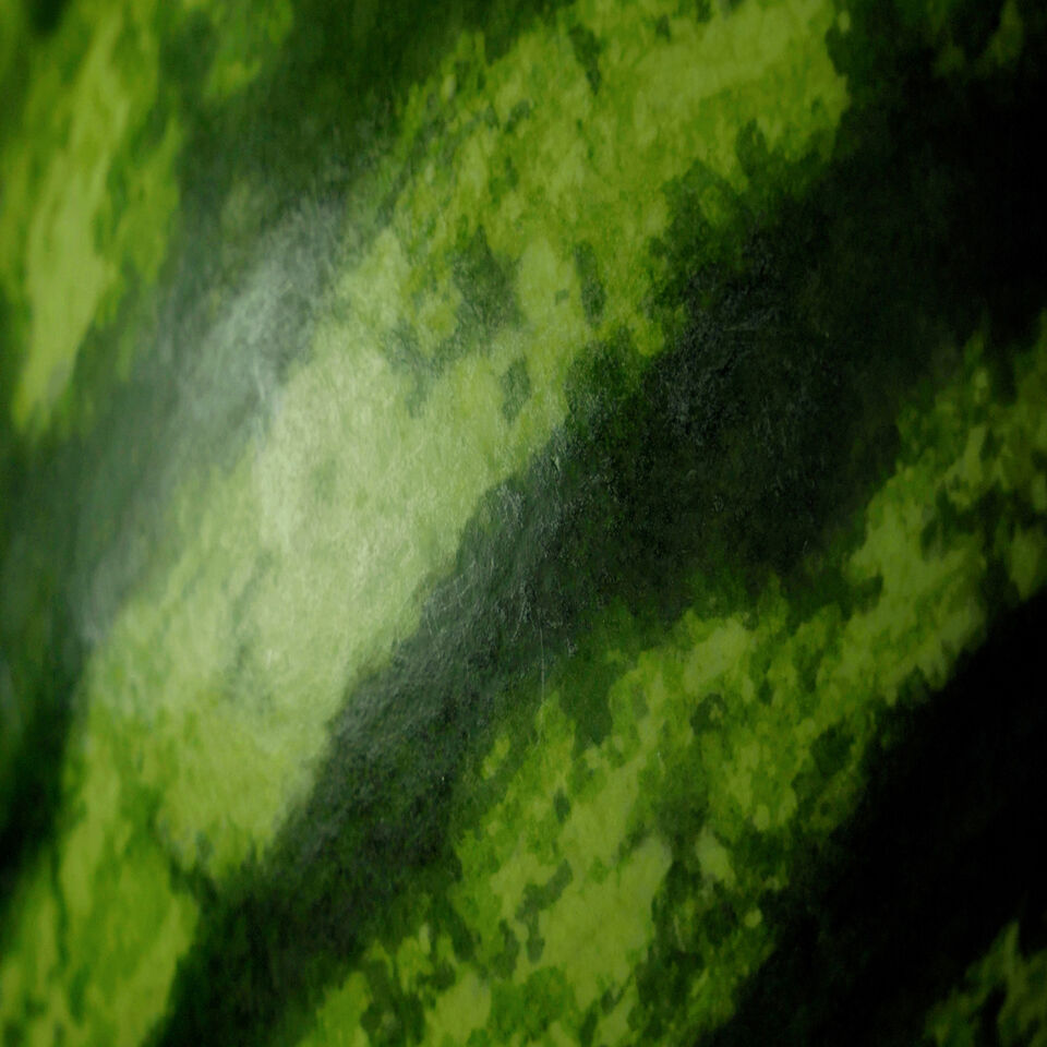 Wassermelone Detailaufnahme